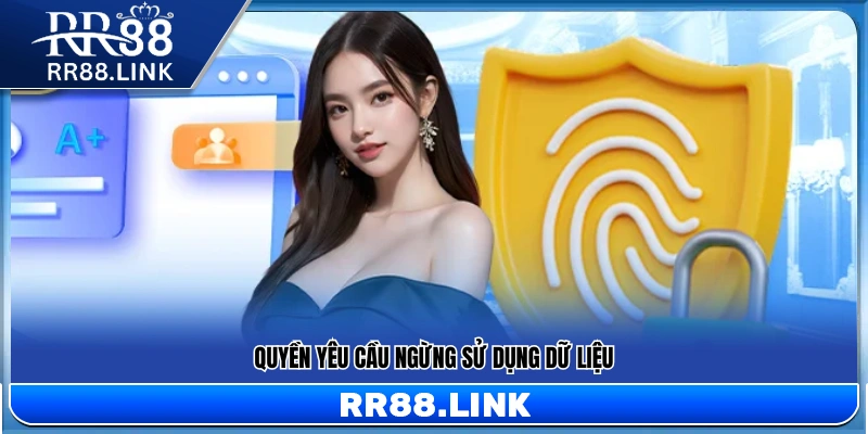 Quyền Riêng Tư RR88 – Quy Định Áp Dụng Toàn Hệ Thống 2026 2 Quyền đề nghị tạm dừng hoặc chấm dứt xử lý dữ liệu cá nhân